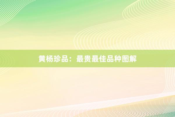 黄杨珍品:最贵最佳品种图解