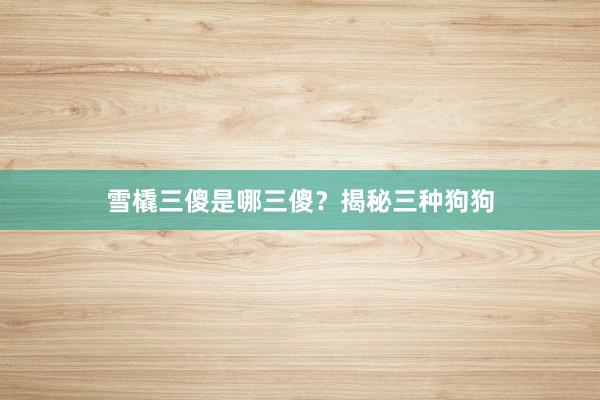 雪橇三傻是哪三傻？揭秘三种狗狗