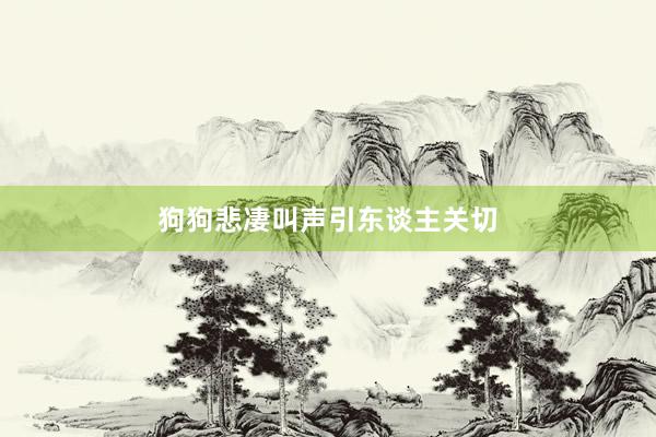 狗狗悲凄叫声引东谈主关切